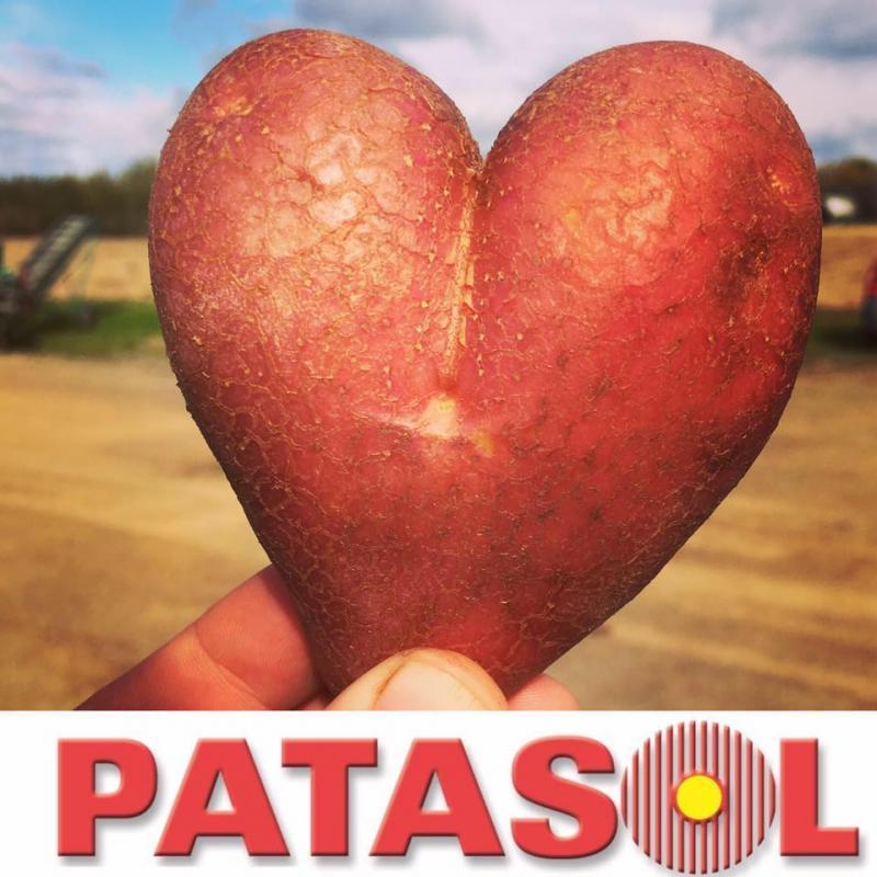 Patasol