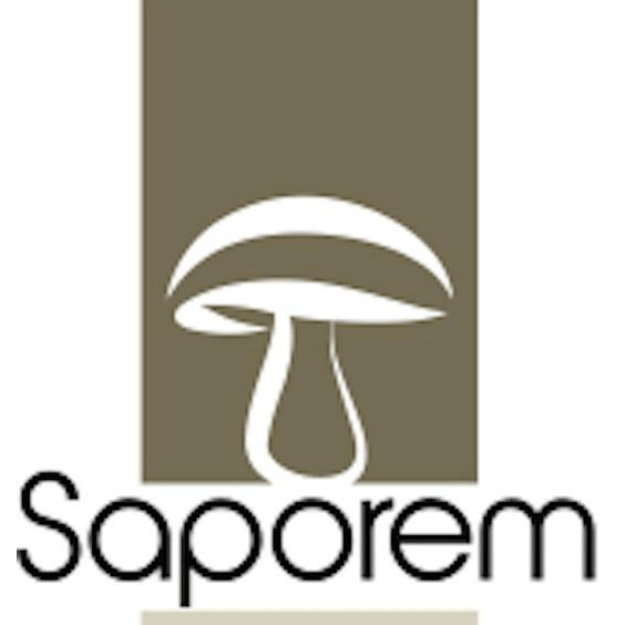 Champignon Saporem
